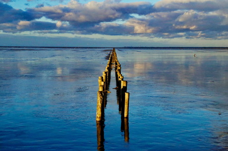 November op het wad