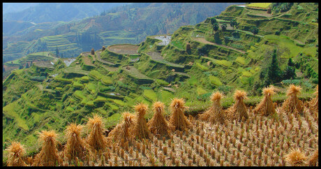 Chinees landschap