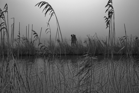 Wandelaars in de mist