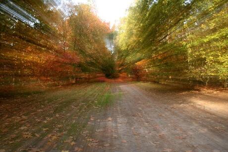 Herfst in sluitertijd