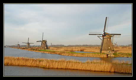 Windmolen Kinderdijk (16)