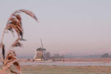 Winter in Friesland 