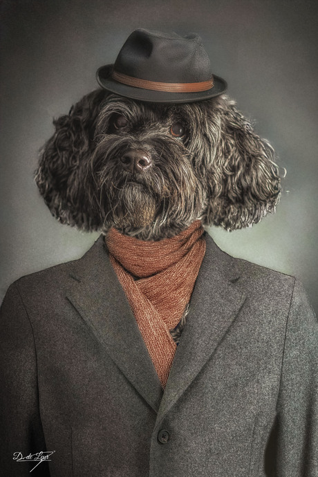 De elegante heer