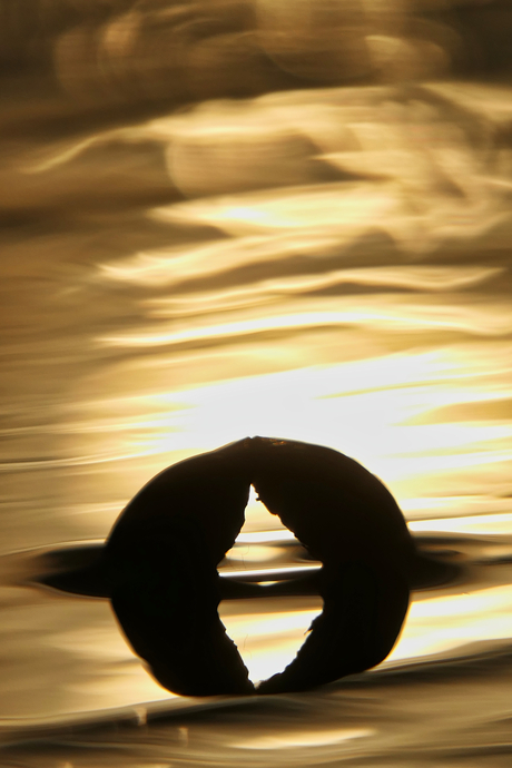 Spelen met water en licht