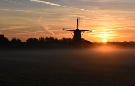 Molen