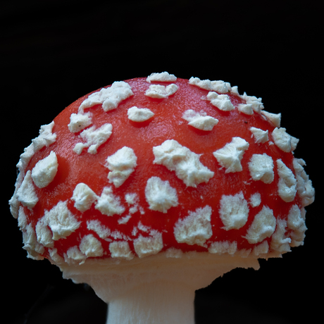 rood met witte stippen