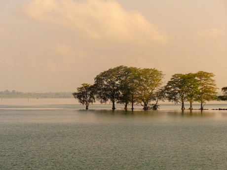 Stilleven op Sri Lanka