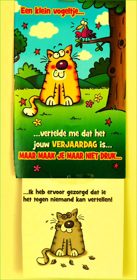 ode aan de kat................