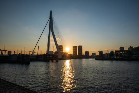 Erasmusbrug sunset