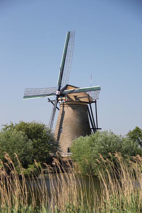 Kinderdijk