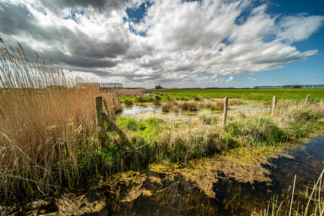 In de polder