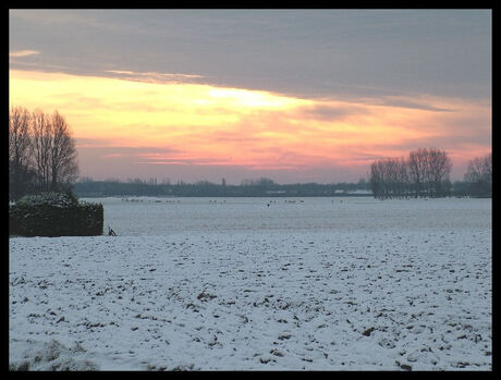 DAAR KOMT DE ZON