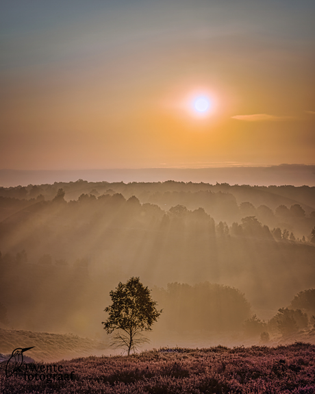 Sunrise