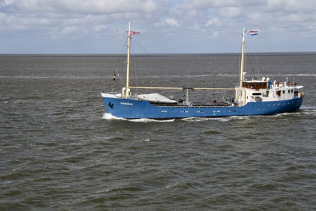 Coaster Panova