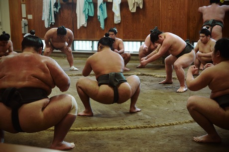 SUMO training