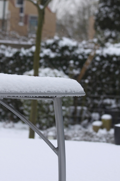 De sneeuw dekt goed!