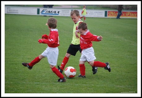 Wat een schot...........