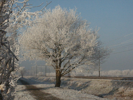 PICT0058.JPG winter 3