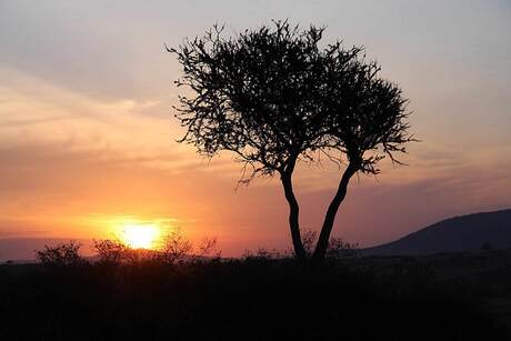 Zonsopkomst in Kenia
