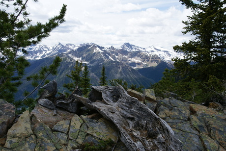 Mountain view