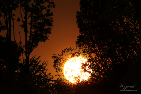 Zonsondergang Spaarnwoude Grote Vijver Halfweg