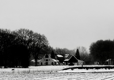 Wat je ziet op een wandeling