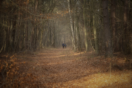 Nieuwjaarswandeling