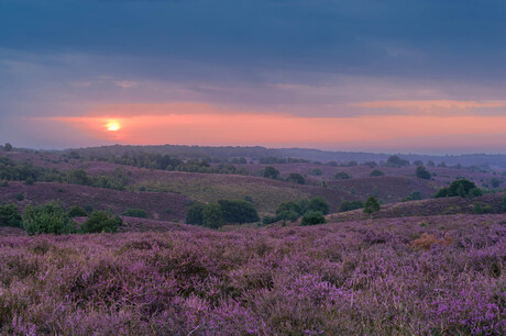 Bewolkte zonsopkomst boven de Zijpenberg
