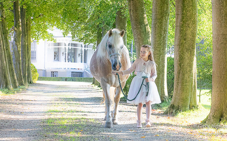 a little girl and a horse 