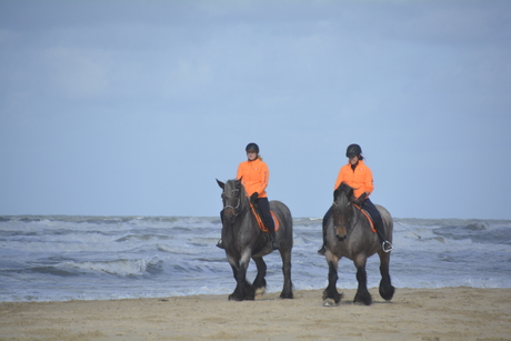 strand rit