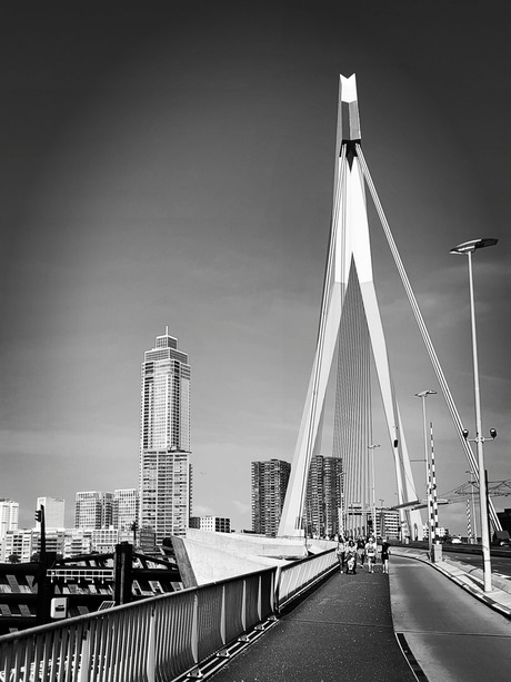 Rotterdam 06