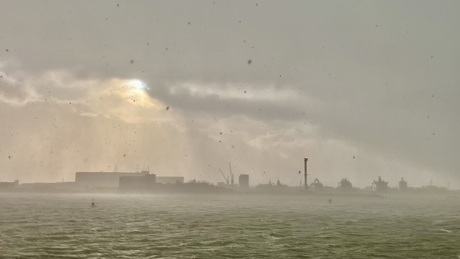 Haven van Den Helder