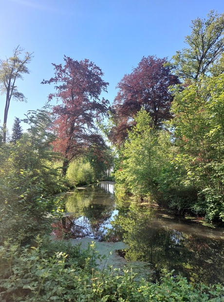 Mooi stukje natuur 