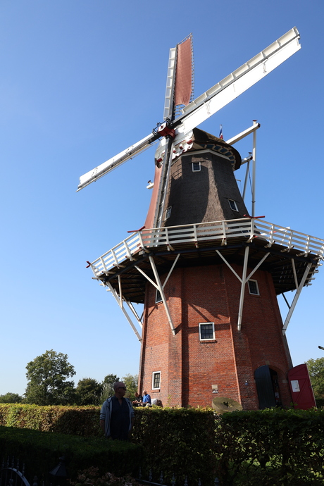 Molen