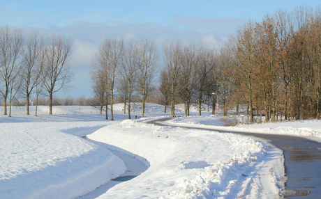 sneeuw polder 2.jpg