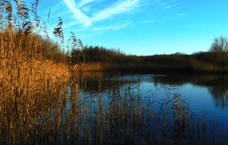 Heerlijke stilte in de natuur .