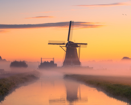 Molen in de mist