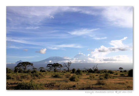 Kilimanjaro