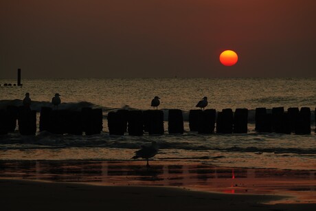 Ondergaande zon in Domburg