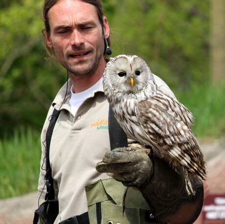 Wim Huygen met Gizmo