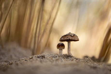 Autumn arrives on the beach I
