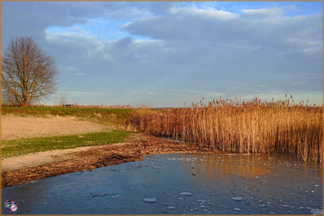 Het gouden uurtje …