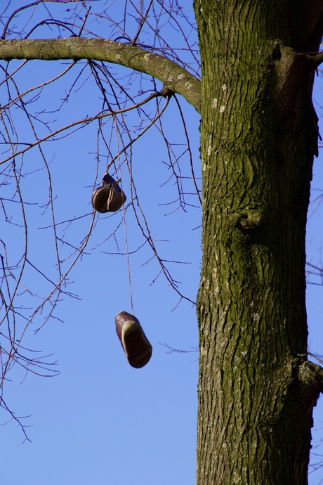 Waar zijn mn schoenen nou gebleven?