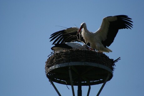 Hoog en droog