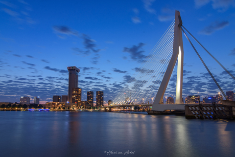 Erasmusbrug Rotterdam