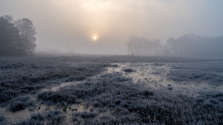Langzaam komt de zon door de mist!