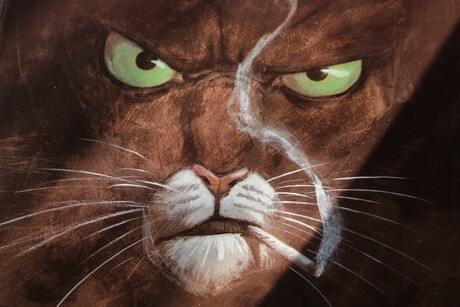 Ergens tussen de Schaduwen