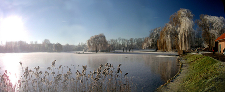 Panorama in winter