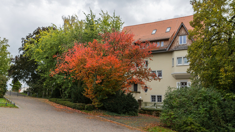 Darmstadt Jugendstil