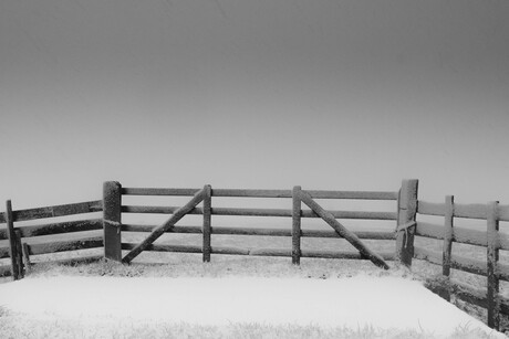 Fence in the snow